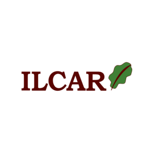 Immagine di ILCAR